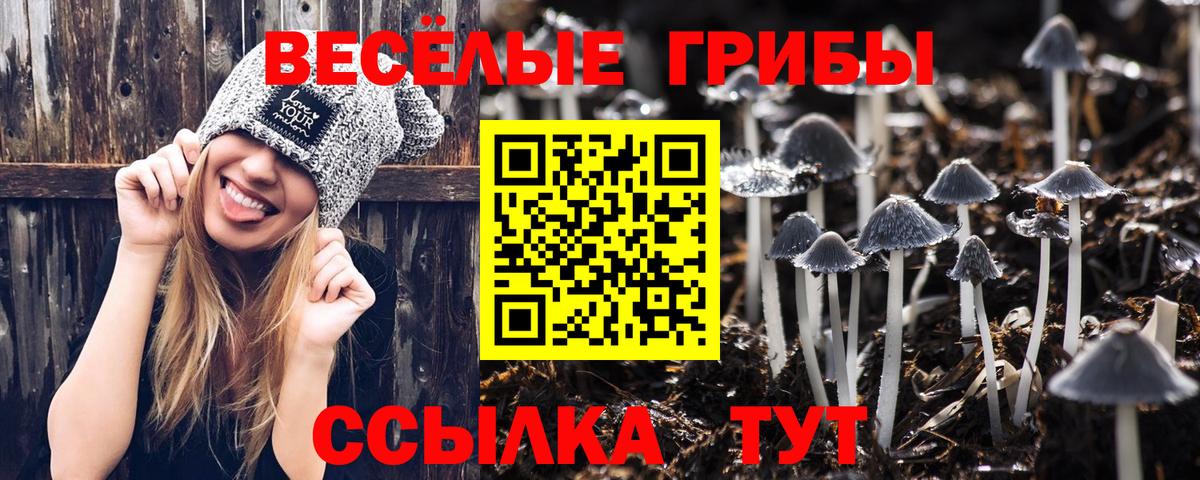 Галлюциногенные грибы Magic Shrooms Михайловск
