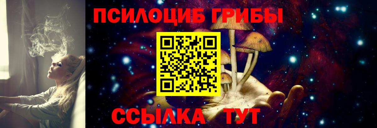 Михайловск  Галлюциногенные грибы прущие грибы  цена   Вход с VPN 
